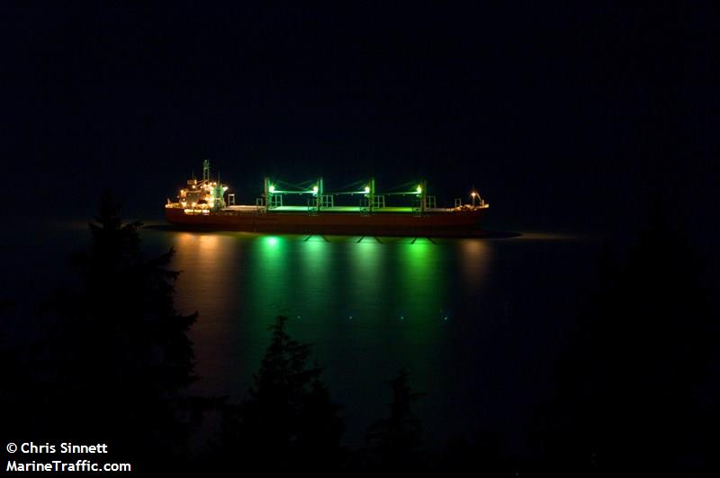 maritime longevity (Bulk Carrier) - IMO 9650834, MMSI 353074000, Call Sign 3EUX4 under the flag of Panama