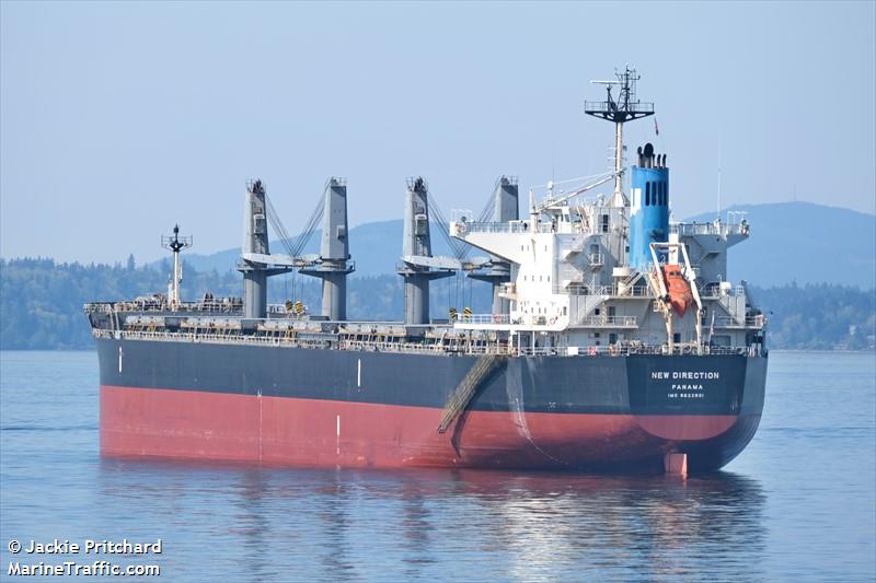 new direction (Bulk Carrier) - IMO 9622801, MMSI 355800000, Call Sign 3FRY3 under the flag of Panama