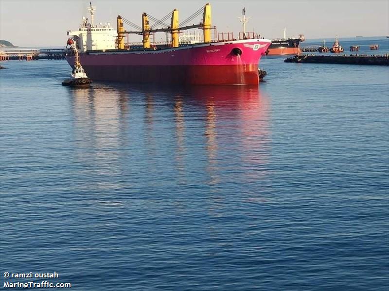 br victory (Bulk Carrier) - IMO 9145956, MMSI 356370000, Call Sign 3FDK6 under the flag of Panama
