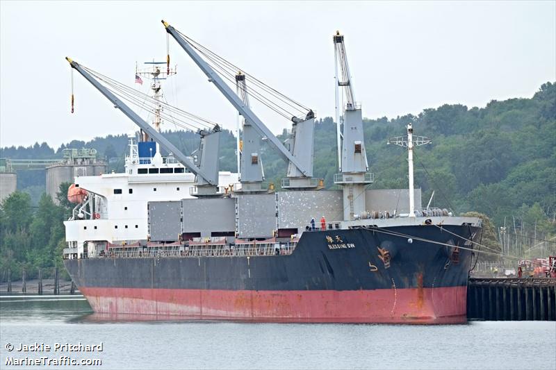 blessing sw (Bulk Carrier) - IMO 9397262, MMSI 372085000, Call Sign 3FIP7 under the flag of Panama