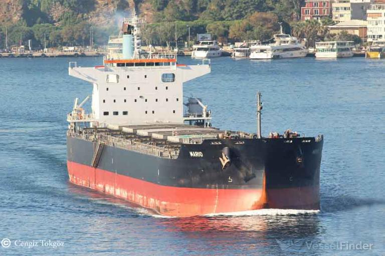 mario (Bulk Carrier) - IMO 9875006, MMSI 372161000, Call Sign 3EMN9 under the flag of Panama