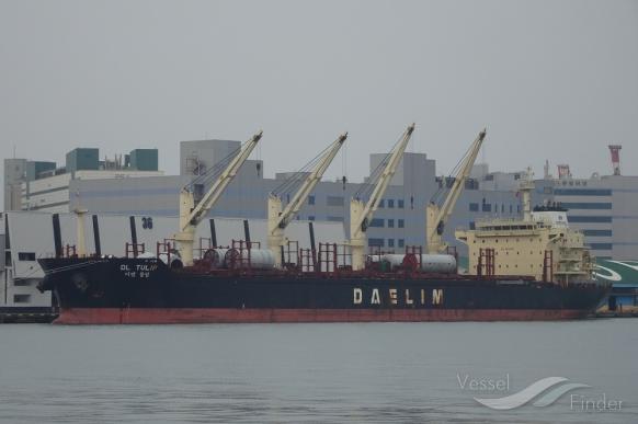 dl tulip (Bulk Carrier) - IMO 9621182, MMSI 373432000, Call Sign 3EYW2 under the flag of Panama