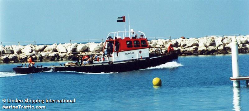 halibut ann (Tug) - IMO , MMSI 470472000, Call Sign A6E234 under the flag of UAE