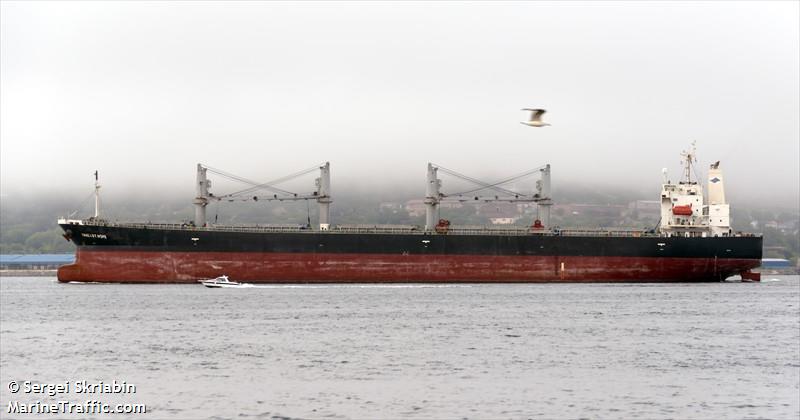 fareast hope (Bulk Carrier) - IMO 9284489, MMSI 477027800, Call Sign VRPM6 under the flag of Hong Kong