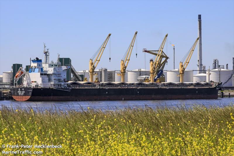 spring oasis (Bulk Carrier) - IMO 9666039, MMSI 477067100, Call Sign VRNQ2 under the flag of Hong Kong