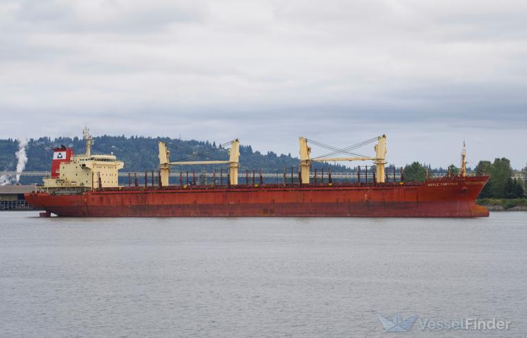 maple fortitude (Bulk Carrier) - IMO 9587178, MMSI 477266700, Call Sign VRHV3 under the flag of Hong Kong