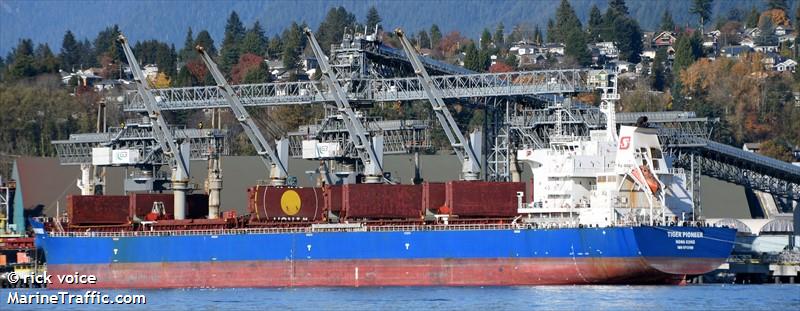 tiger pioneer (Bulk Carrier) - IMO 9712199, MMSI 477477500, Call Sign VROP9 under the flag of Hong Kong