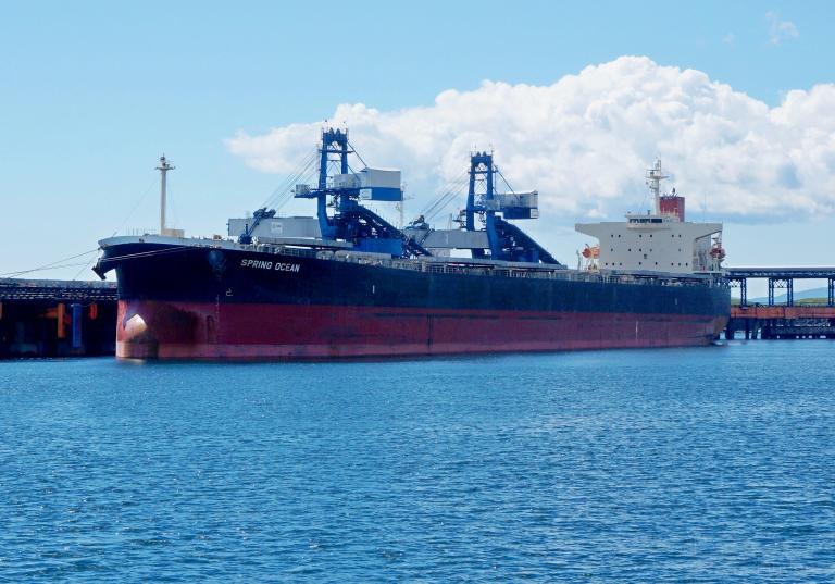 panasiatic (Bulk Carrier) - IMO 9310276, MMSI 538005231, Call Sign V7CB2 under the flag of Marshall Islands