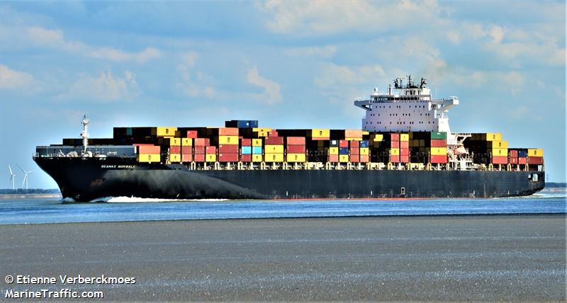 seamax norwalk (Container Ship) - IMO 9290464, MMSI 538007063, Call Sign V7VT5 under the flag of Marshall Islands