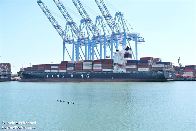 ym efficiency (Container Ship) - IMO 9353280, MMSI 636013698, Call Sign A8OS5 under the flag of Liberia
