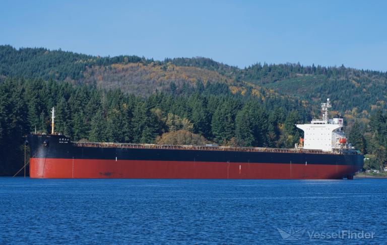 km mt. jade (Bulk Carrier) - IMO 9359545, MMSI 636013980, Call Sign A8QP7 under the flag of Liberia