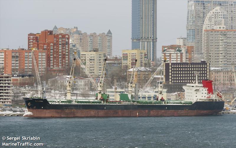 erlyne (Bulk Carrier) - IMO 9382736, MMSI 636014788, Call Sign A8WN7 under the flag of Liberia