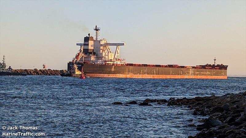 true condor (Bulk Carrier) - IMO 9736925, MMSI 636018313, Call Sign D5PD9 under the flag of Liberia