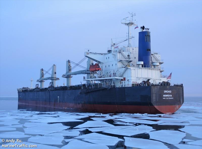 orchid (Bulk Carrier) - IMO 9478860, MMSI 636018363, Call Sign D5PJ4 under the flag of Liberia