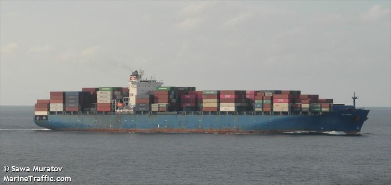 talassa (Container Ship) - IMO 9290787, MMSI 255805780, Call Sign CQDD under the flag of Madeira
