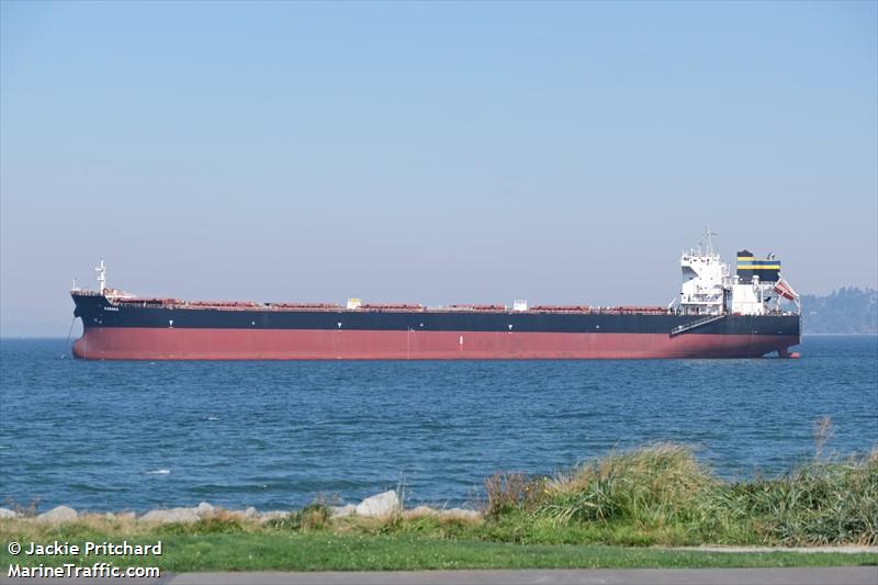 raraka (Bulk Carrier) - IMO 9584504, MMSI 256936000, Call Sign 9HA2965 under the flag of Malta