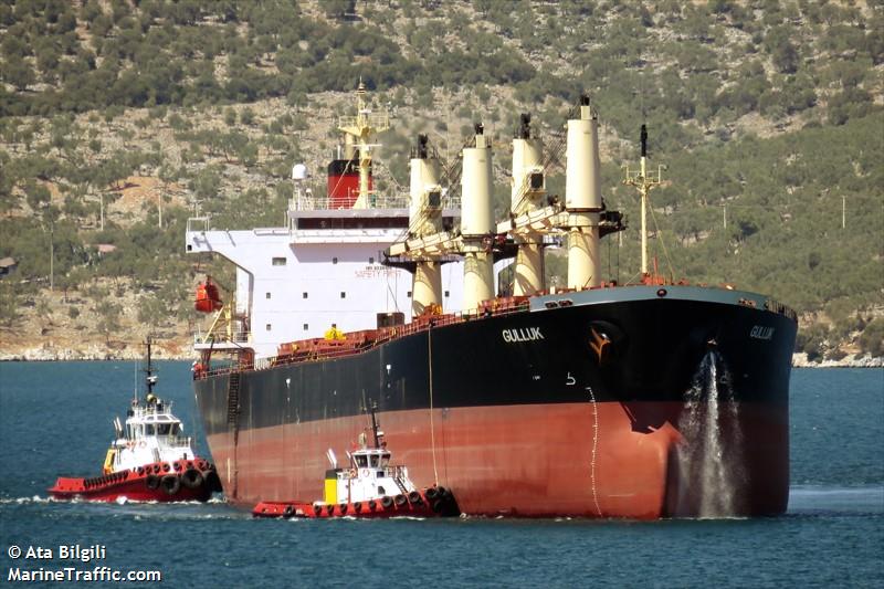 gulluk (Bulk Carrier) - IMO 9228100, MMSI 271044383, Call Sign TCA3904 under the flag of Turkey