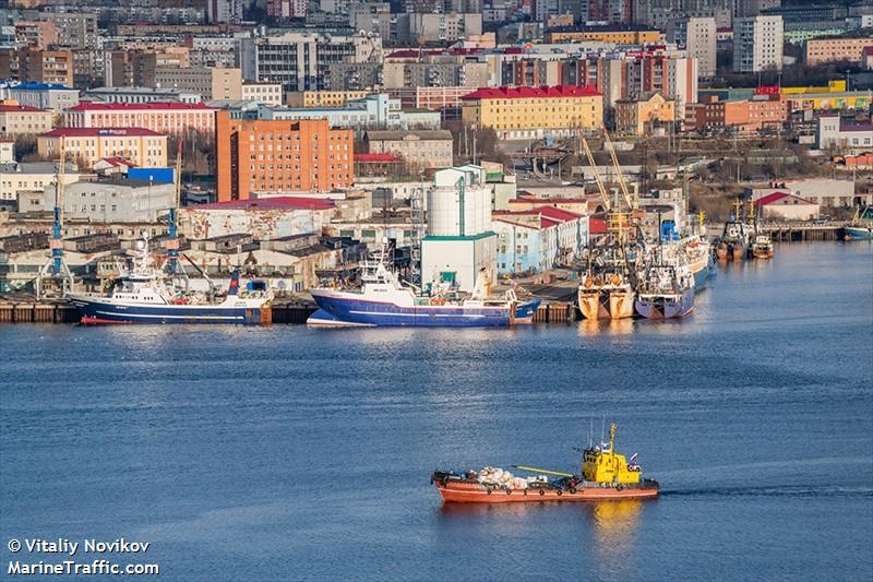 salnyi (Bunkering Tanker) - IMO 8725711, MMSI 273133900, Call Sign --- under the flag of Russia