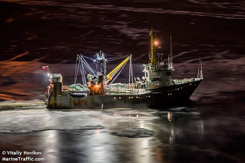 torin (Fishing Vessel) - IMO 8899744, MMSI 273311050, Call Sign UFYO under the flag of Russia