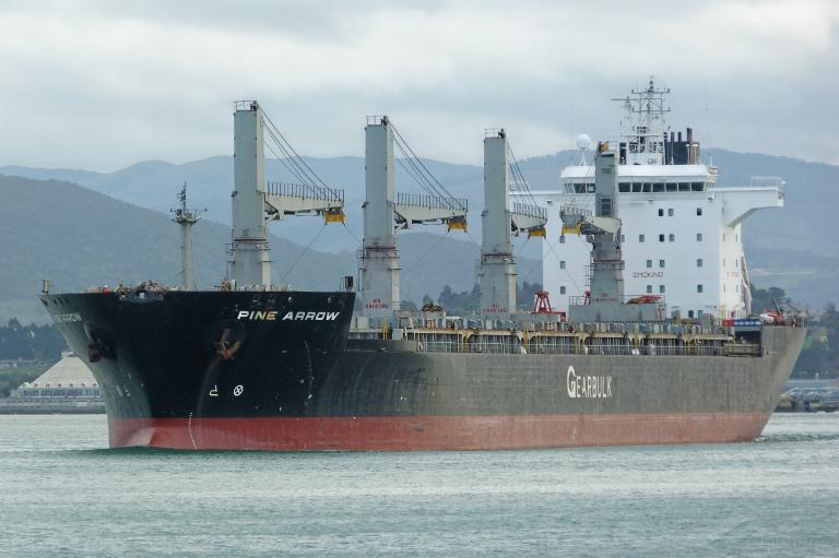 pine arrow (General Cargo Ship) - IMO 9107306, MMSI 309587000, Call Sign C6NZ3 under the flag of Bahamas