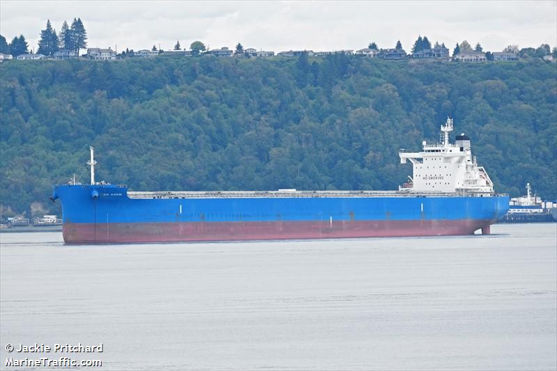 btg ulriken (Bulk Carrier) - IMO 9887346, MMSI 311000991, Call Sign C6ES8 under the flag of Bahamas