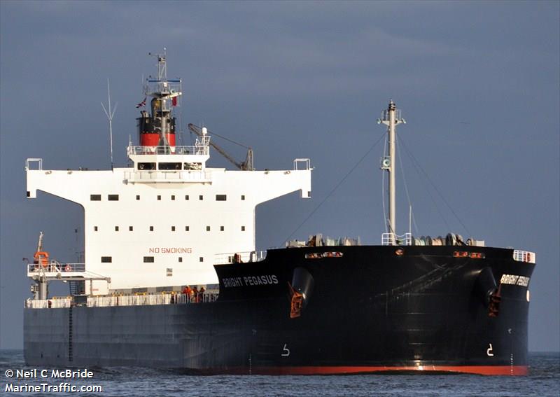 bright pegasus (Bulk Carrier) - IMO 9599080, MMSI 352971000, Call Sign 3FJQ4 under the flag of Panama