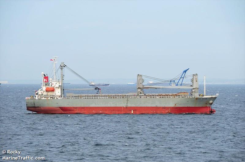 tan binh 99 (General Cargo Ship) - IMO 9290189, MMSI 356082000, Call Sign HPVP under the flag of Panama