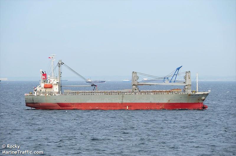 tan binh 99 (General Cargo Ship) - IMO 9290189, MMSI 356082000, Call Sign HPVP under the flag of Panama