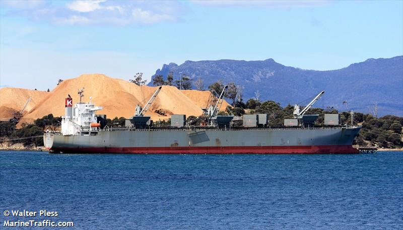 universal gloria (Wood Chips Carrier) - IMO 9286877, MMSI 356844000, Call Sign HPYT under the flag of Panama