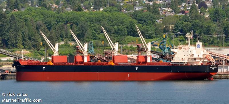 konkar theodoros (Bulk Carrier) - IMO 9715804, MMSI 370904000, Call Sign 3FVL under the flag of Panama