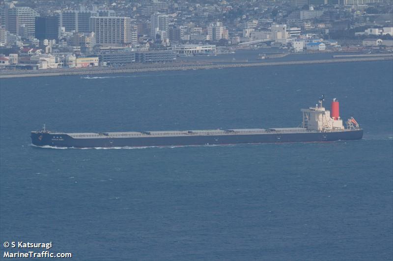 shinzan maru (Bulk Carrier) - IMO 9770581, MMSI 431401000, Call Sign 7JYE under the flag of Japan
