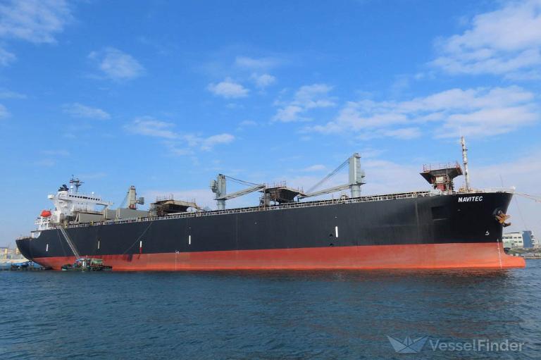 navitec (Wood Chips Carrier) - IMO 9157337, MMSI 477219500, Call Sign VRMR3 under the flag of Hong Kong