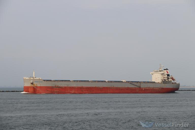 presinge trader (Bulk Carrier) - IMO 9756925, MMSI 548950000, Call Sign DUIR under the flag of Philippines