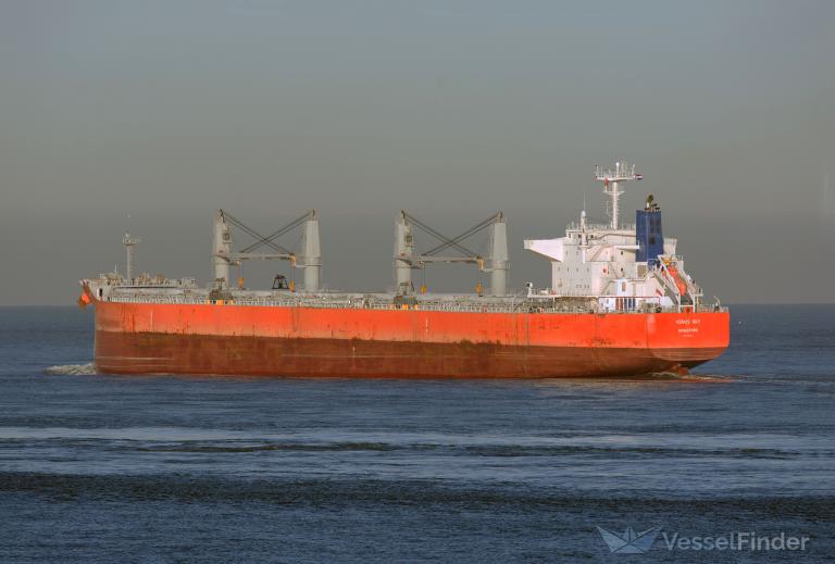 venus sky (Bulk Carrier) - IMO 9796951, MMSI 563023500, Call Sign 9V5149 under the flag of Singapore