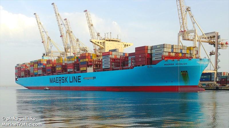 maersk hidalgo (Container Ship) - IMO 9784283, MMSI 563034900, Call Sign 9V5600 under the flag of Singapore