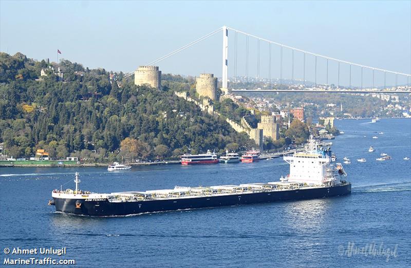 aom federica (Bulk Carrier) - IMO 9870460, MMSI 563109300, Call Sign 9V6786 under the flag of Singapore