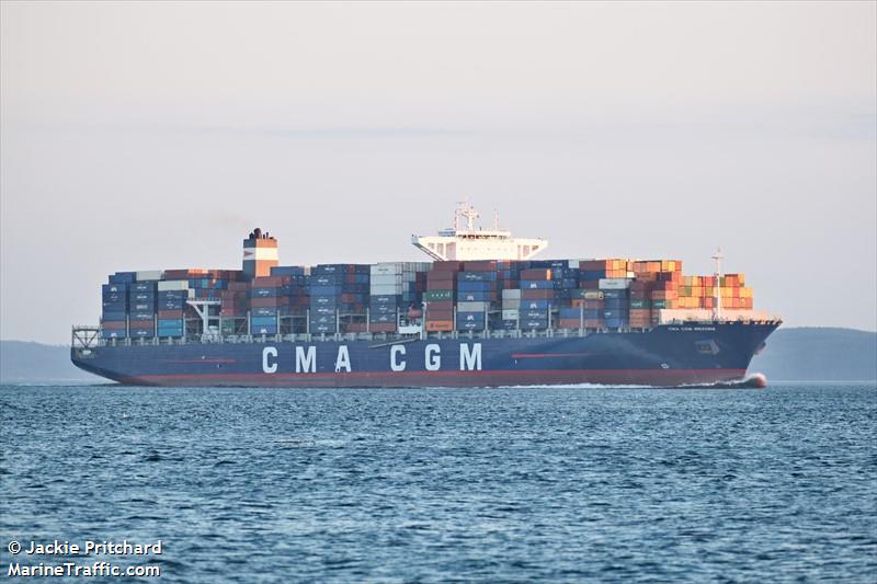 cma cgm mekong (Container Ship) - IMO 9718105, MMSI 219135000, Call Sign OXZT2 under the flag of Denmark