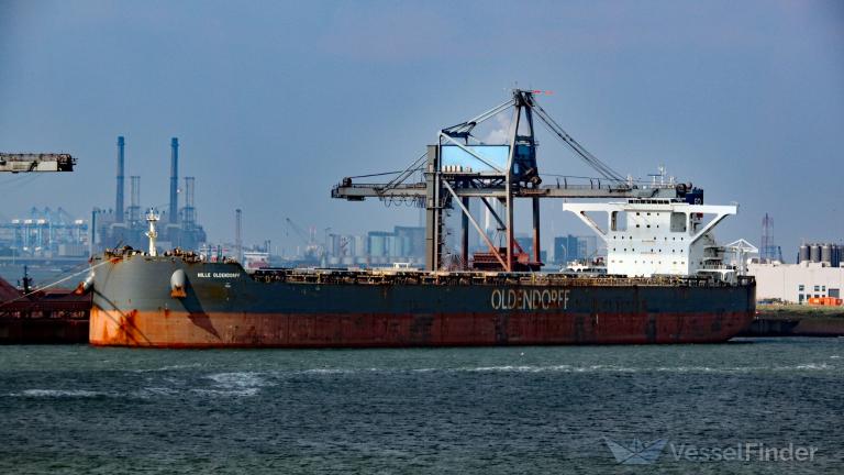 hille oldendorff (Bulk Carrier) - IMO 9731573, MMSI 255805681, Call Sign CQEE under the flag of Madeira