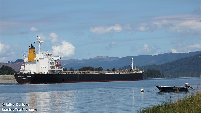 ads galtesund (Bulk Carrier) - IMO 9336581, MMSI 257862000, Call Sign LAVH7 under the flag of Norway