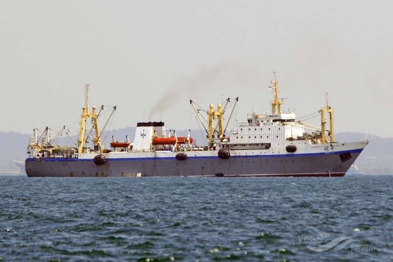 ester (Fish Factory Ship) - IMO 8908117, MMSI 273397450, Call Sign UBHP under the flag of Russia