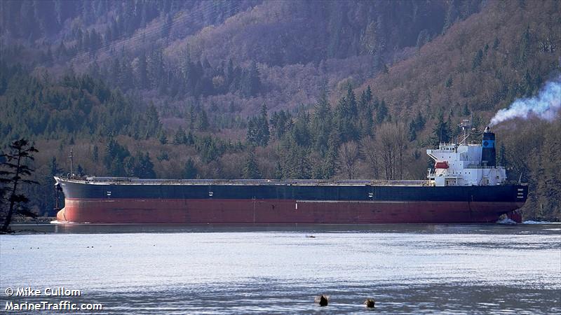 danae r (Bulk Carrier) - IMO 9316878, MMSI 311000519, Call Sign C6CN3 under the flag of Bahamas