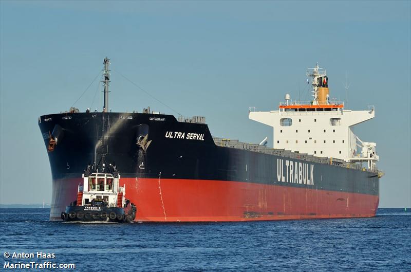ultra serval (Bulk Carrier) - IMO 9874997, MMSI 353035000, Call Sign 3EEX2 under the flag of Panama