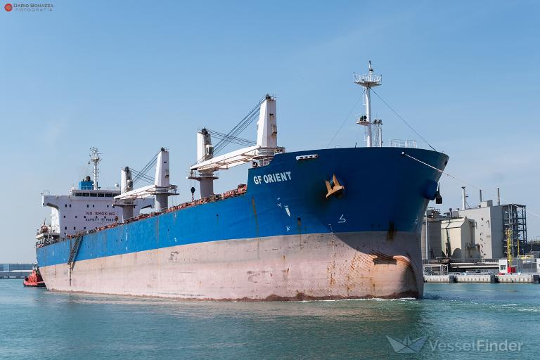 gf orient (Bulk Carrier) - IMO 9445681, MMSI 353211000, Call Sign 3FHR4 under the flag of Panama