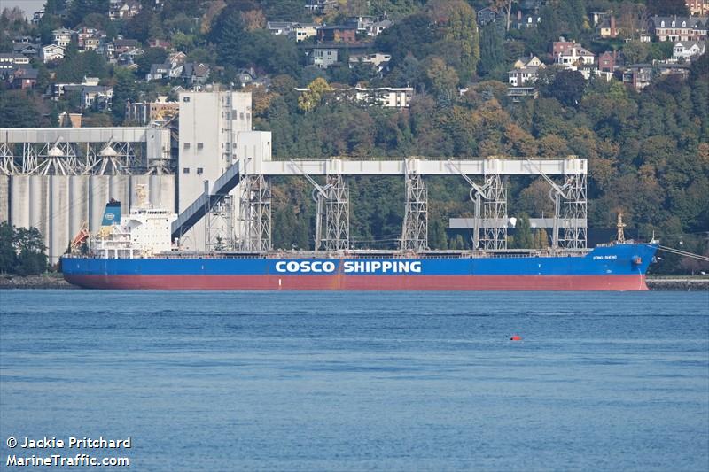 hong sheng (Bulk Carrier) - IMO 9563627, MMSI 354643000, Call Sign 3FLE9 under the flag of Panama