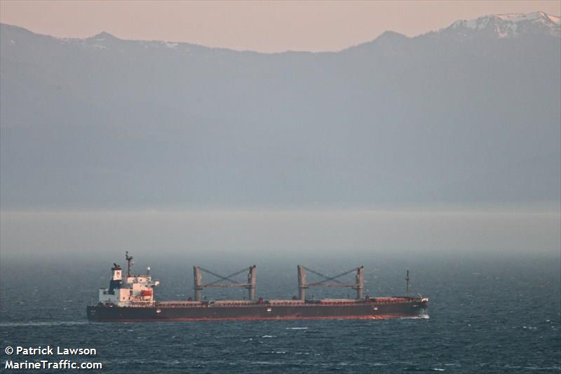 the patron (Bulk Carrier) - IMO 9481439, MMSI 355723000, Call Sign 3EMC9 under the flag of Panama