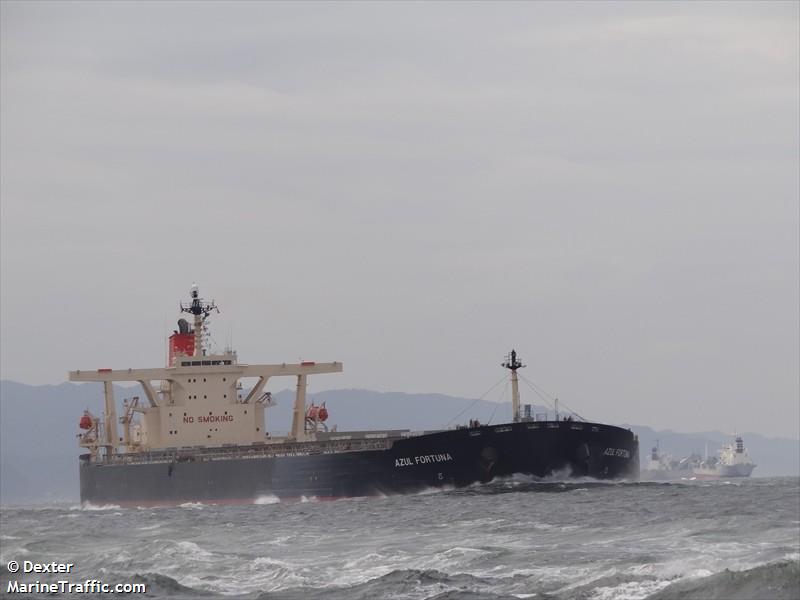 captain leonidas (Bulk Carrier) - IMO 9271561, MMSI 356611000, Call Sign H8HK under the flag of Panama