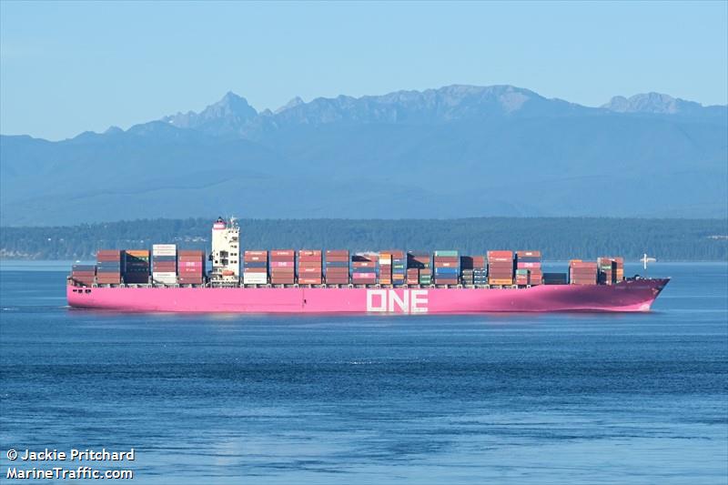 one cosmos (Container Ship) - IMO 9388340, MMSI 370181000, Call Sign 3ERV8 under the flag of Panama