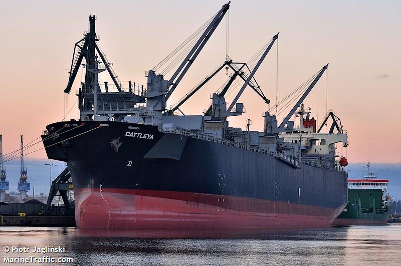 cattleya (Wood Chips Carrier) - IMO 9370757, MMSI 370819000, Call Sign 3FMT5 under the flag of Panama