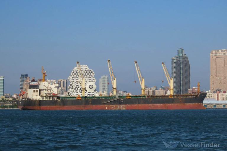 nz shanghai (Bulk Carrier) - IMO 9579729, MMSI 374224000, Call Sign 3ESJ2 under the flag of Panama