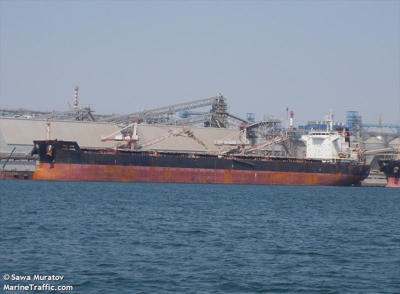 vishva anand (Bulk Carrier) - IMO 9515046, MMSI 419000310, Call Sign AVLW under the flag of India